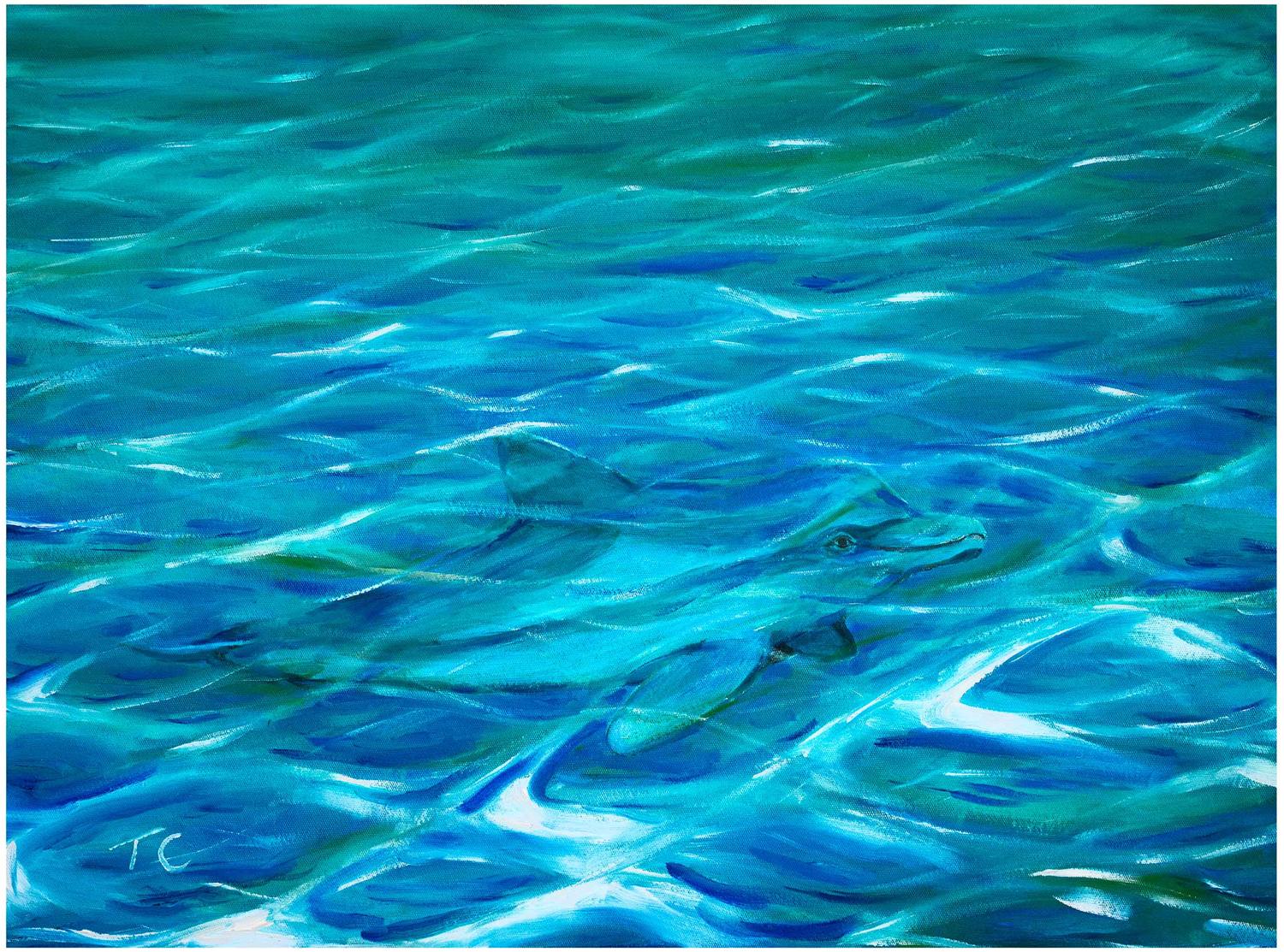 Dolphin — painting by Trevor Chatfield
